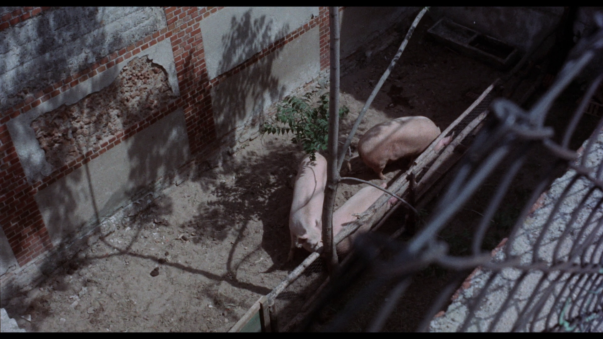 The Glass Ceiling alternate TV scenes