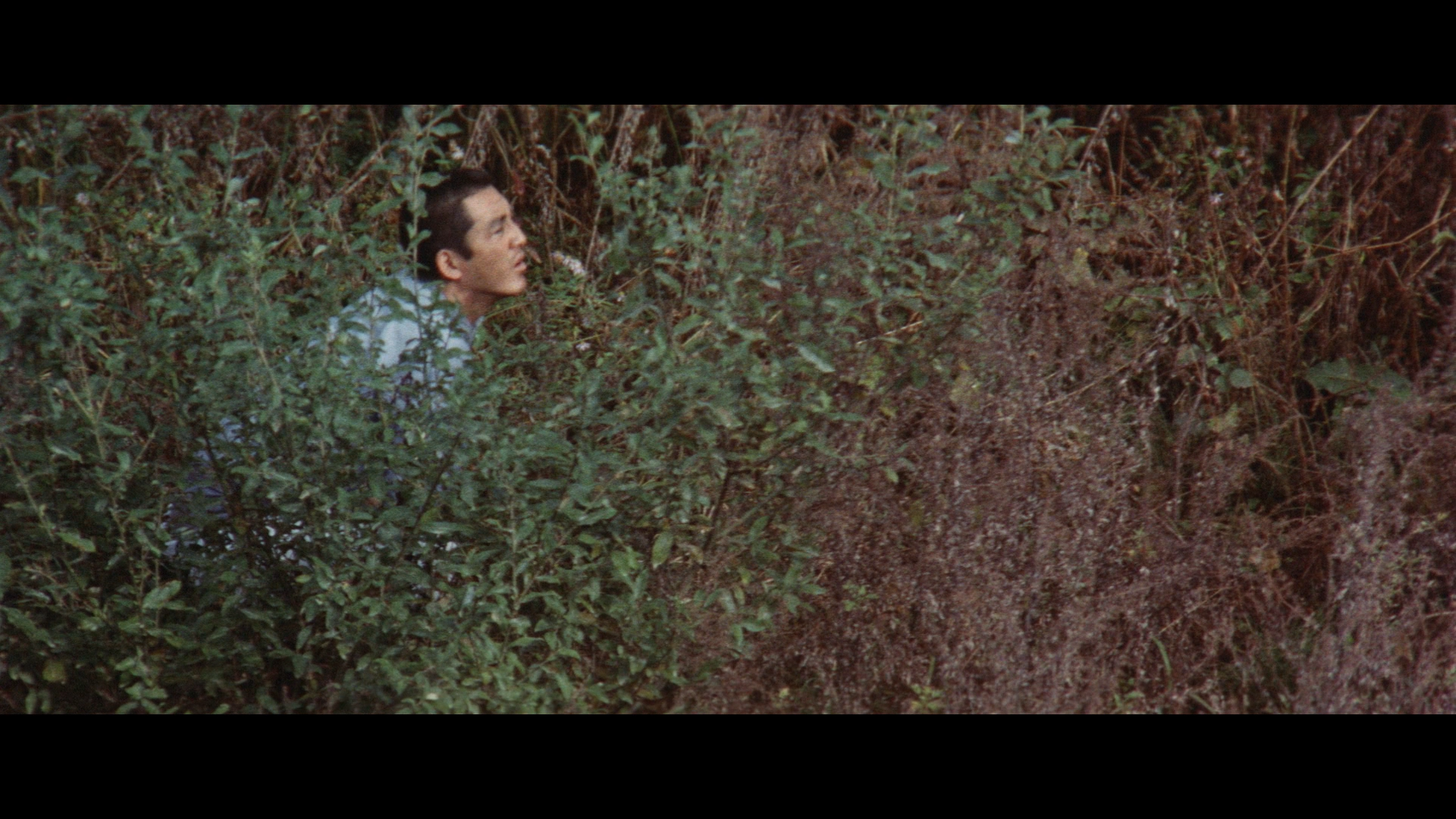 The Rapacious Jailbreaker cap 8