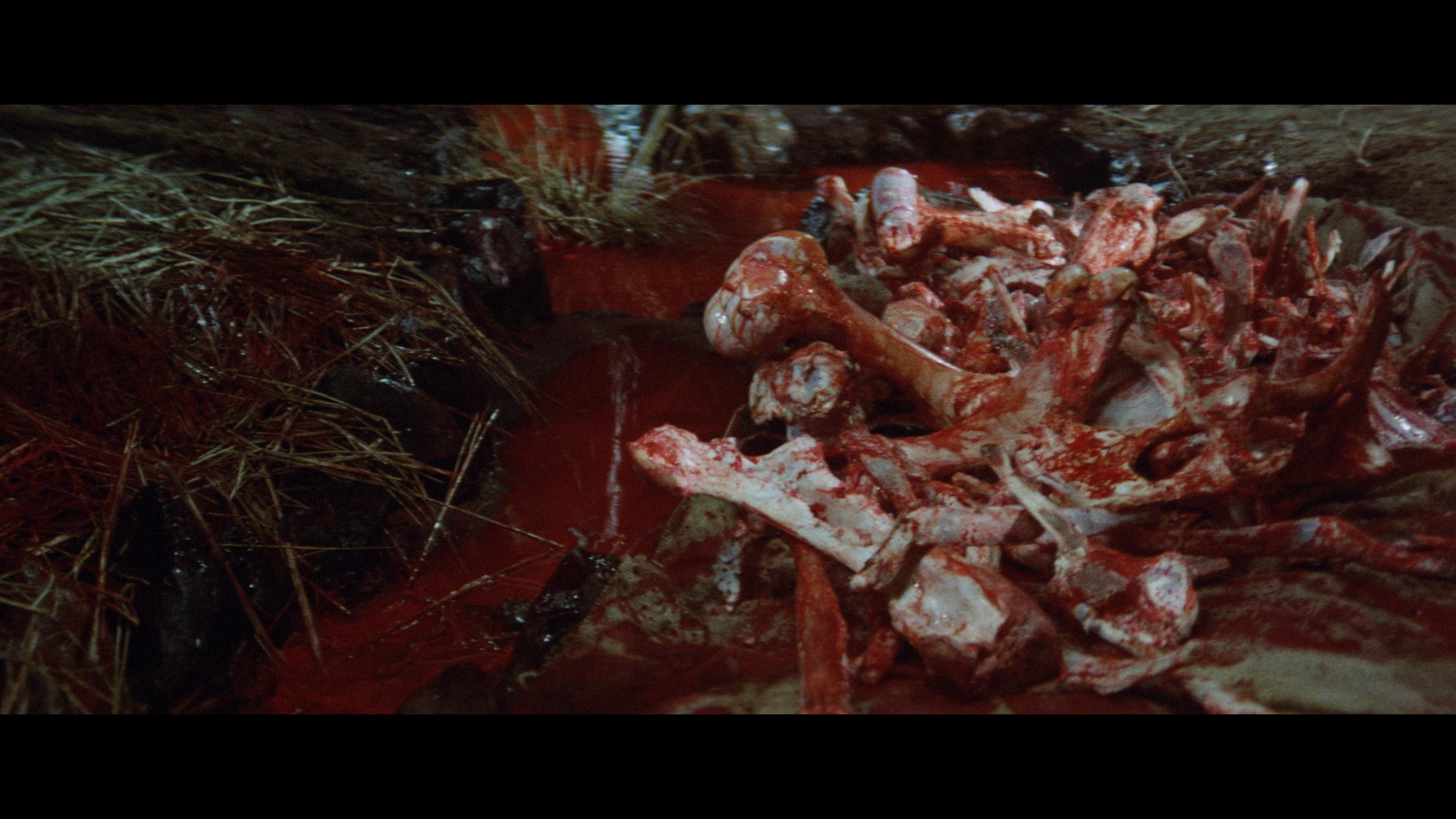 The Rapacious Jailbreaker cap 9