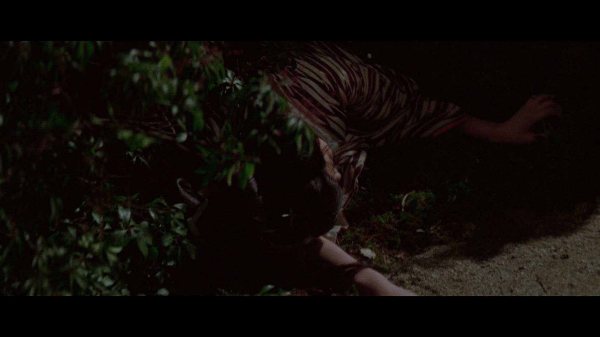 The Haunted Castle cap 9