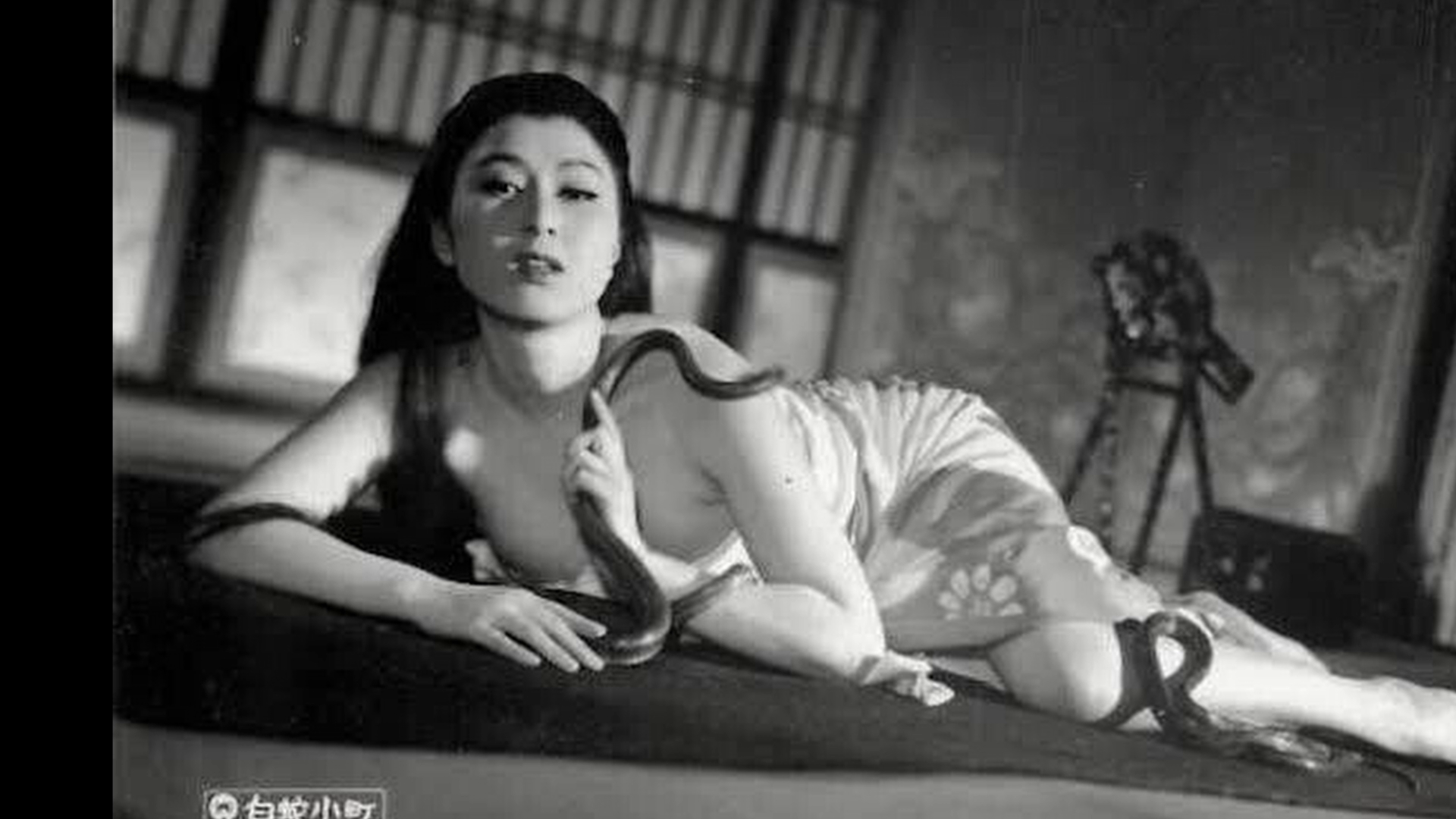 The Haunted Castle visual essay