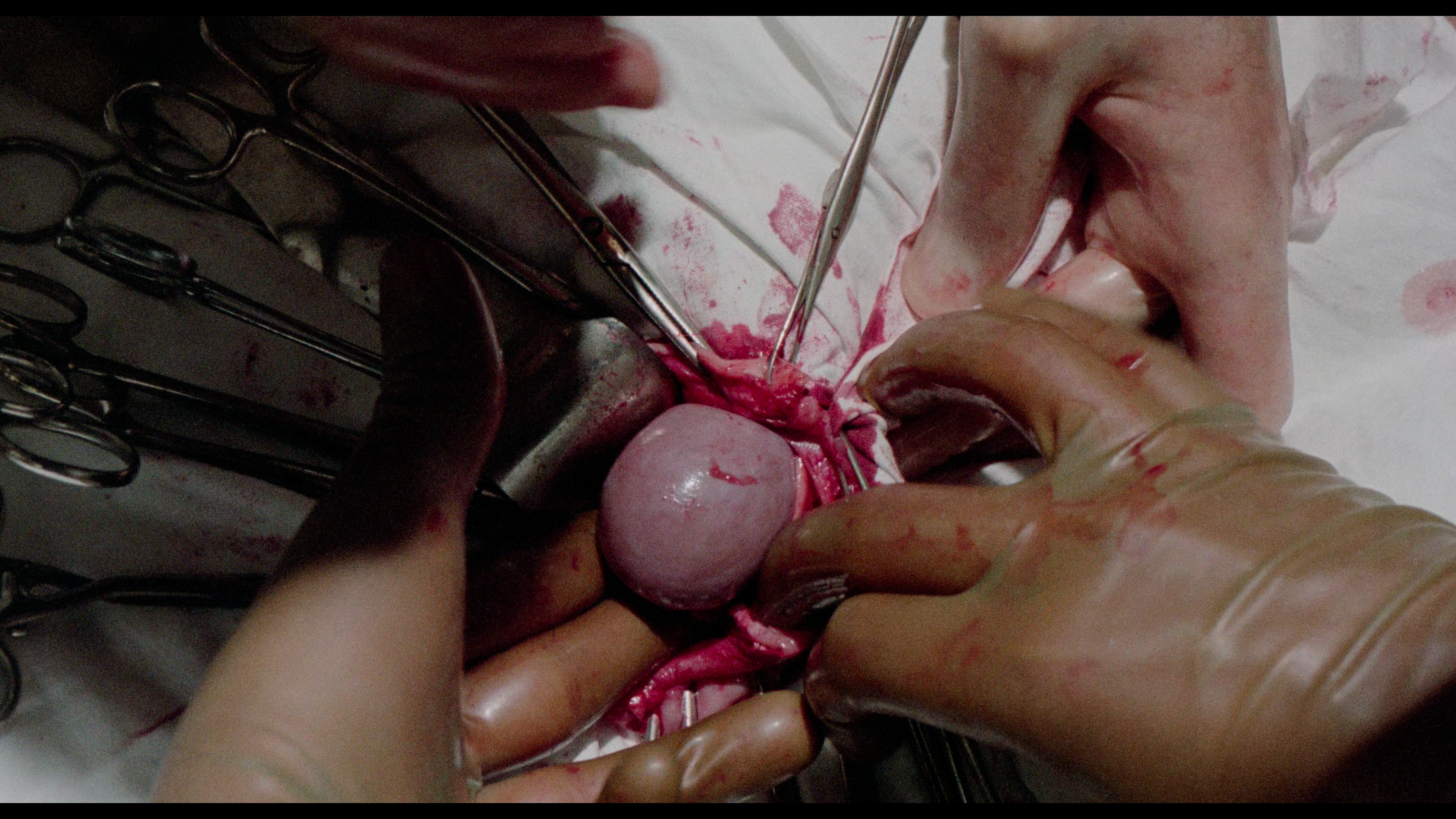 SS Experiment Love Camp 4K cap 6