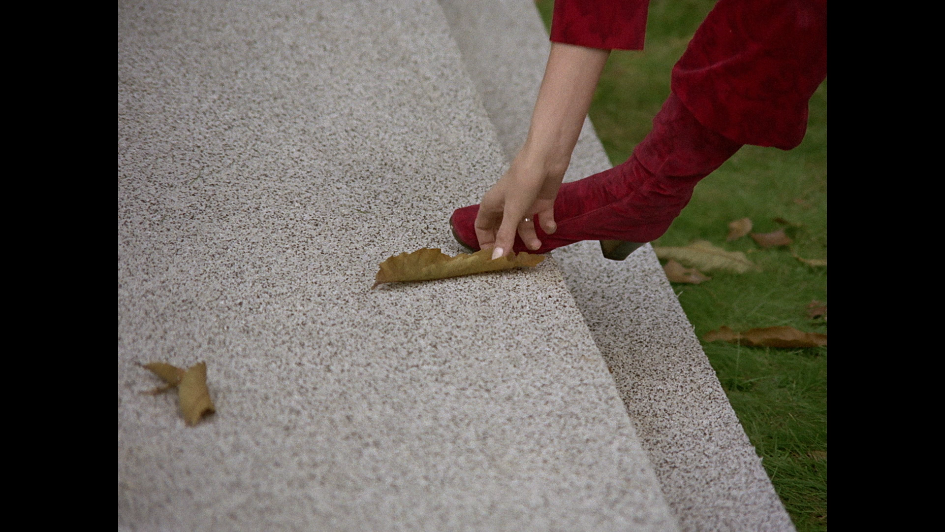 A Hyena in the Safe - screenshot 4