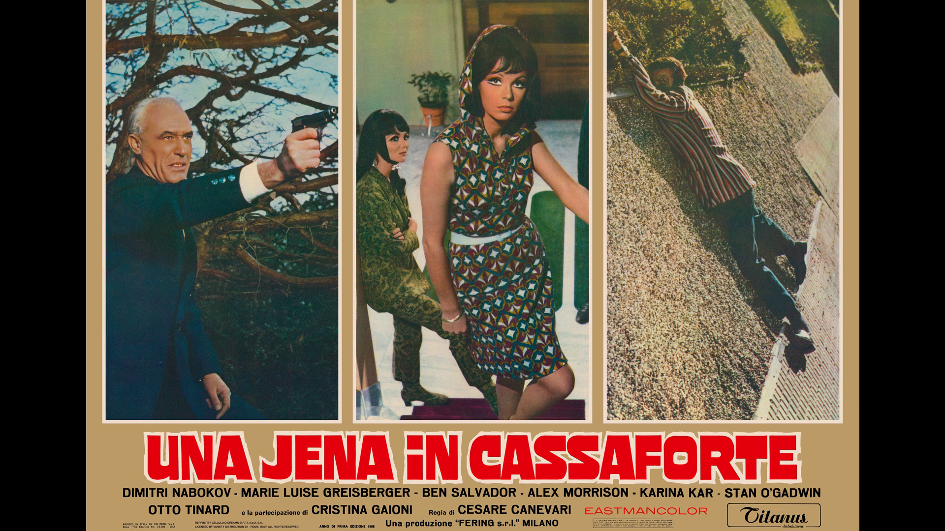 A Hyena in the Safe image gallery