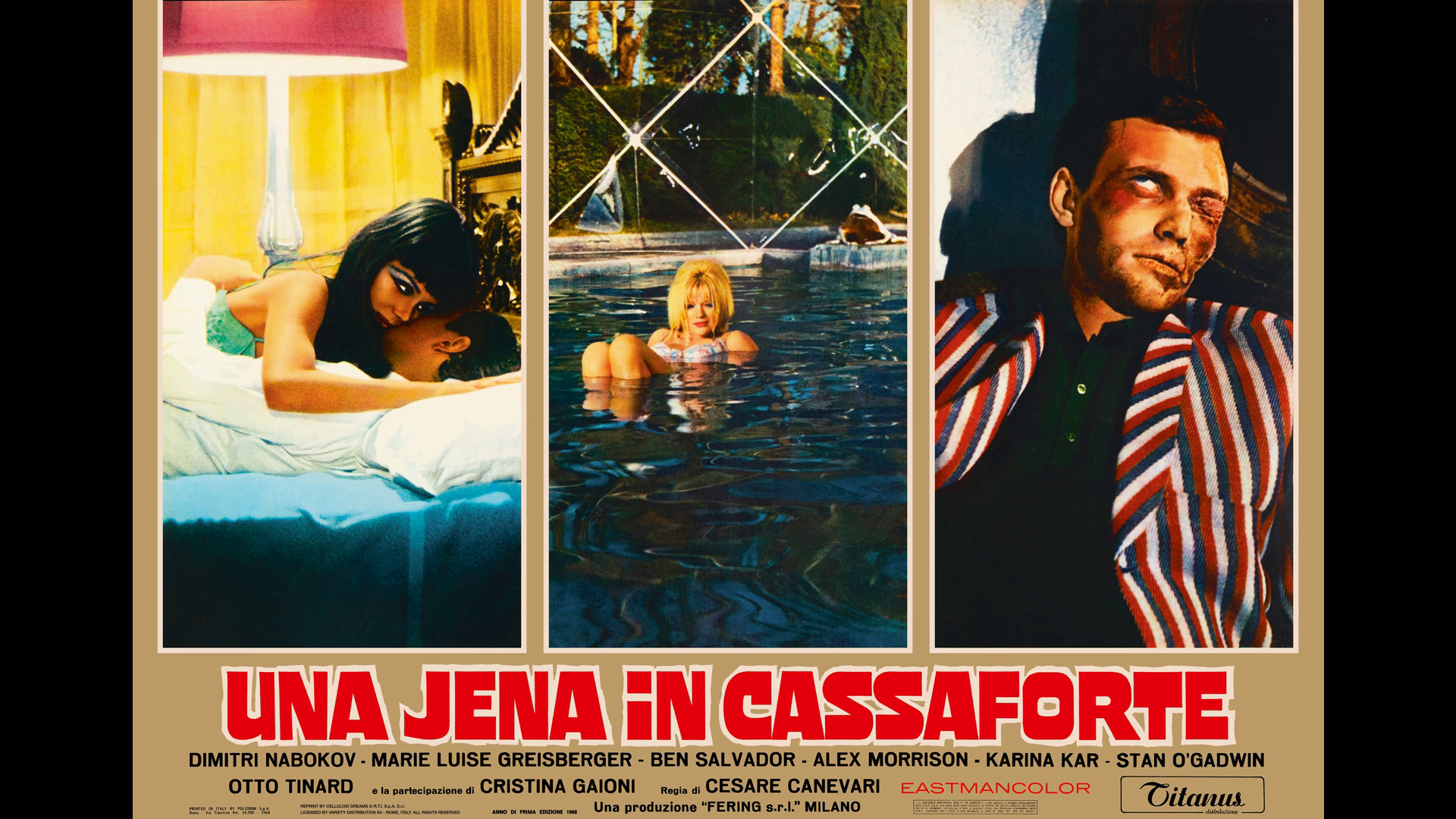 A Hyena in the Safe image gallery