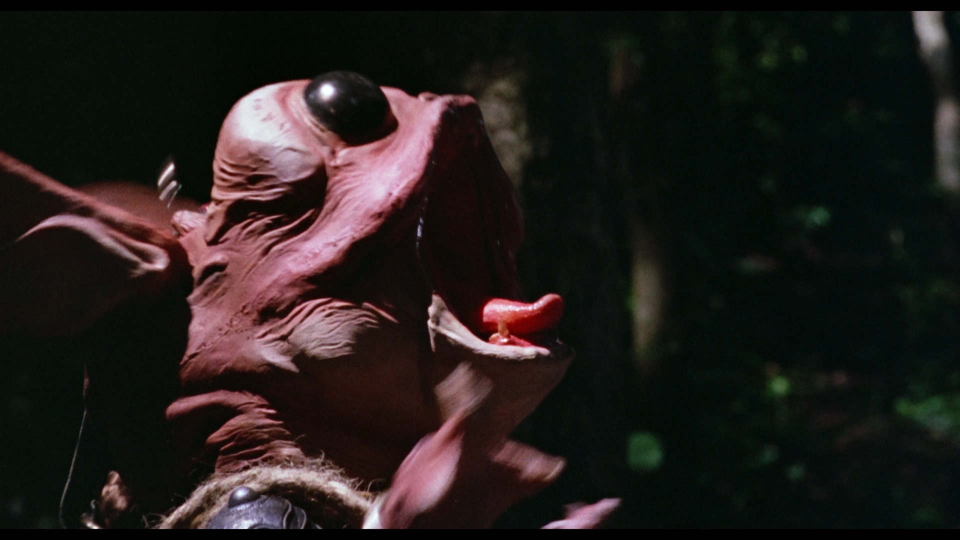 Saga of the Phoenix Blu-ray screenshot 4