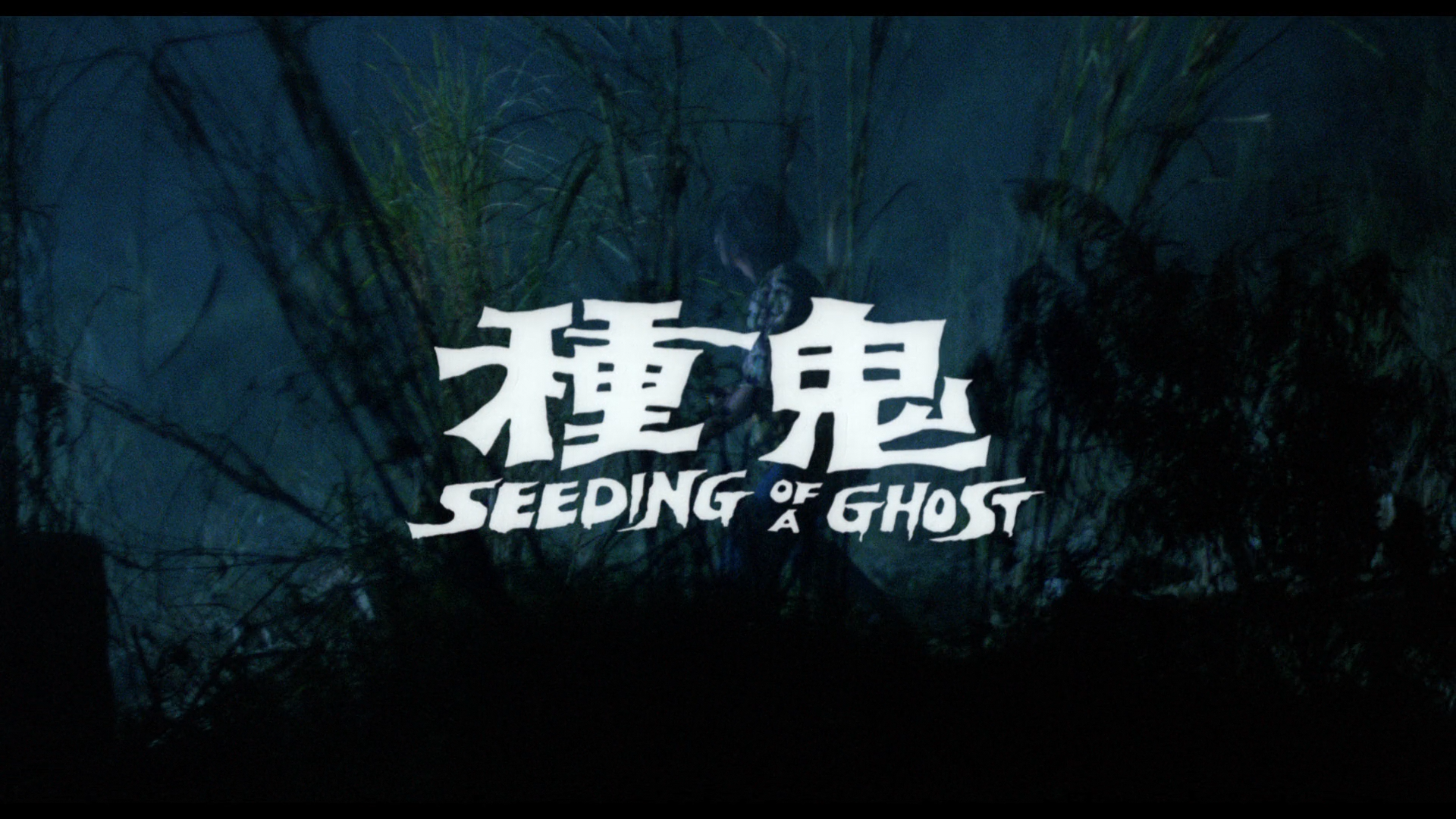 Seeding of a Ghost Blu-ray screenshot 1