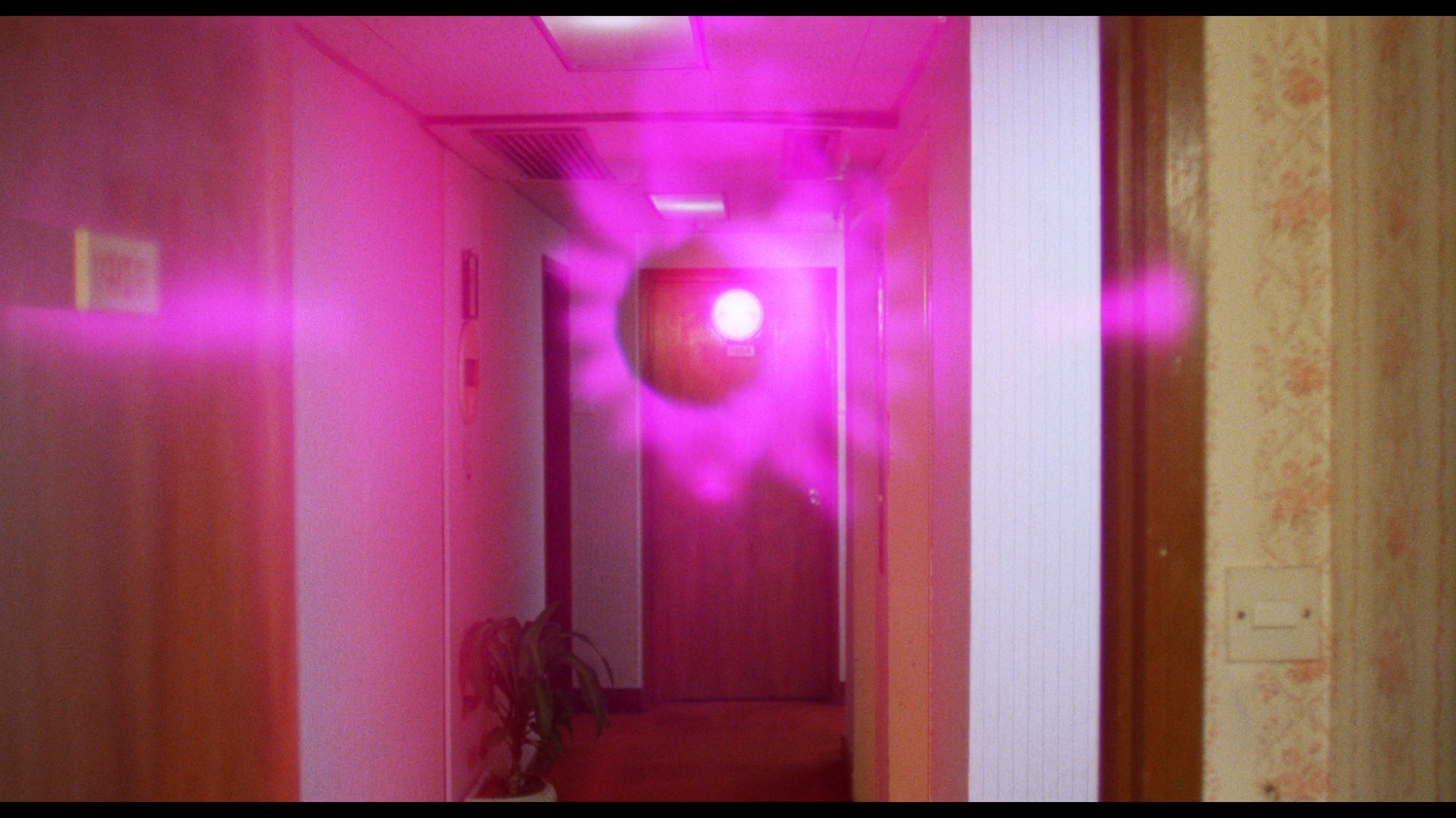 Seeding of a Ghost Blu-ray screenshot 11