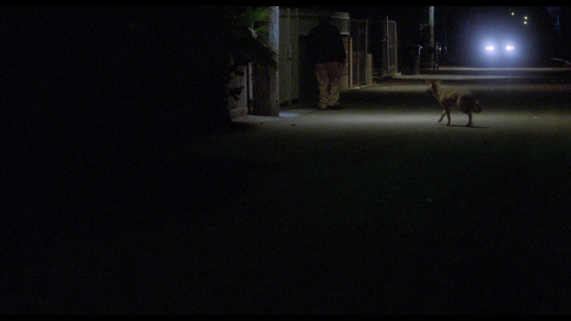 Lookin' Italian Blu-ray screenshot 12