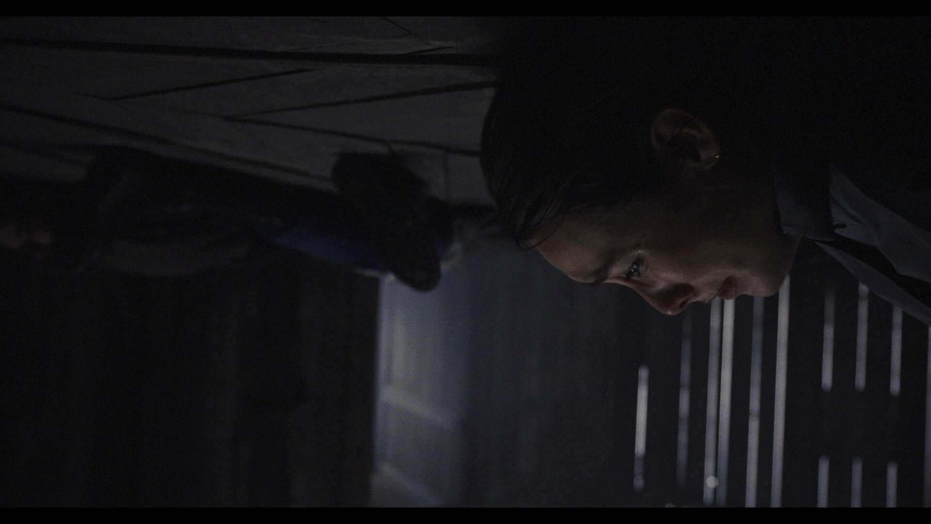 VHS Halloween Blu-ray screencap 6