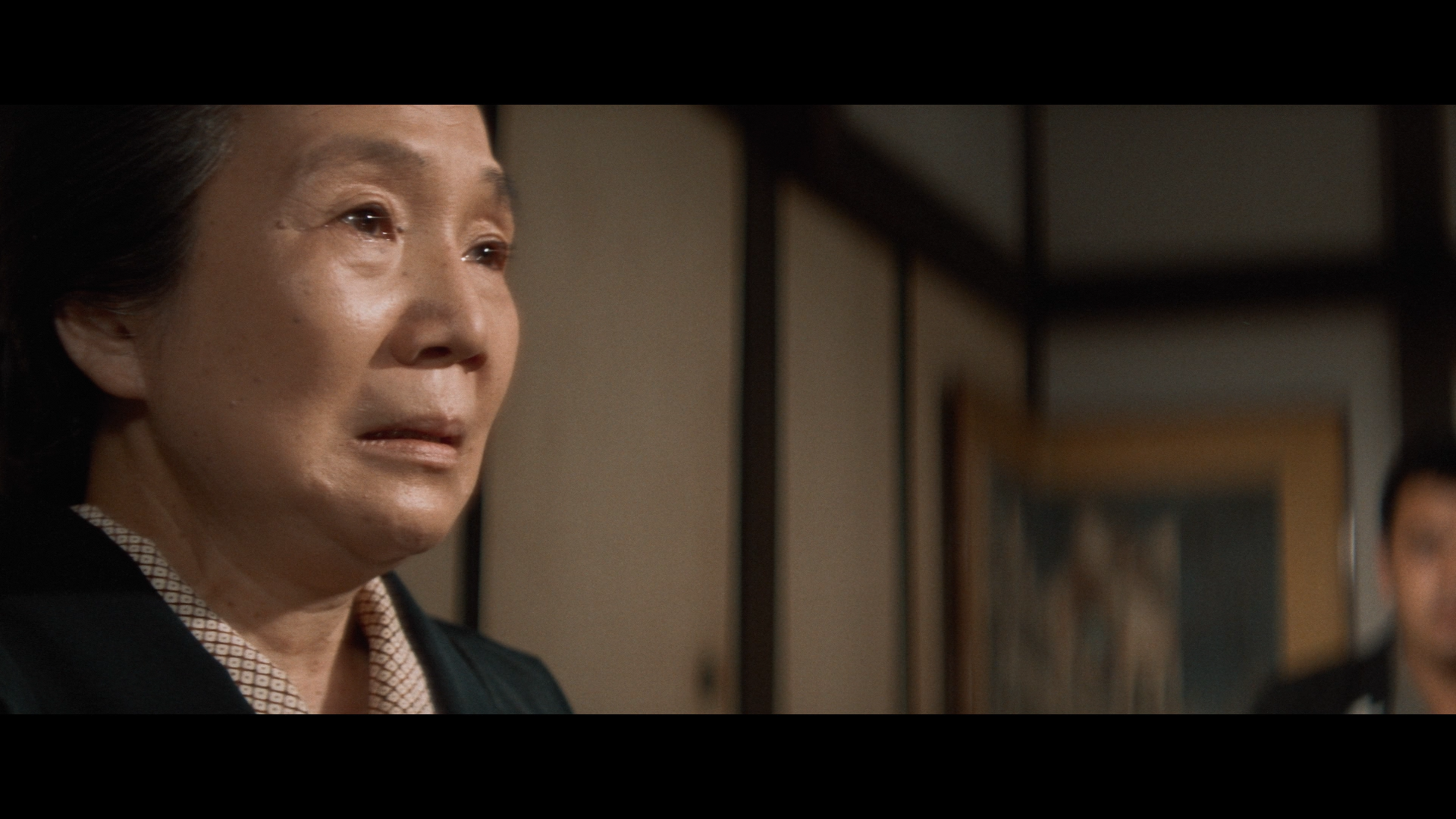 Blood of Revenge Blu-ray screencap 7