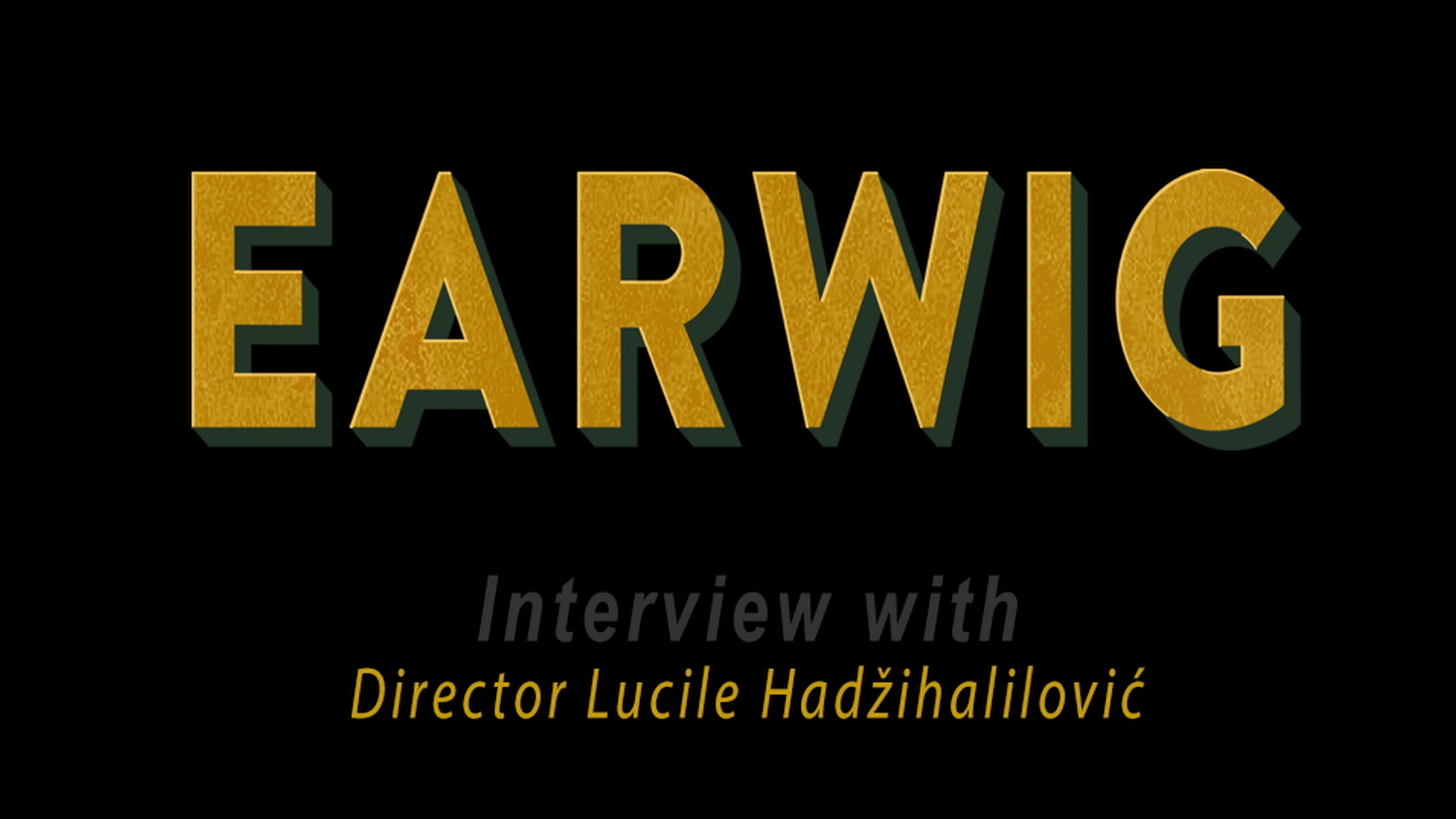 Earwig archival Lucile Hadzihalilovic interview